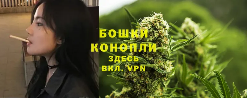 Конопля White Widow  где купить наркоту  Дорогобуж 